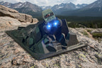 Rocky Mountain Large Crawler Scape Plate
